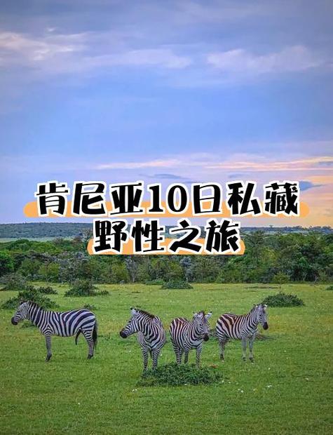 肯尼亚为何突然实施无人机飞行禁令？-图3