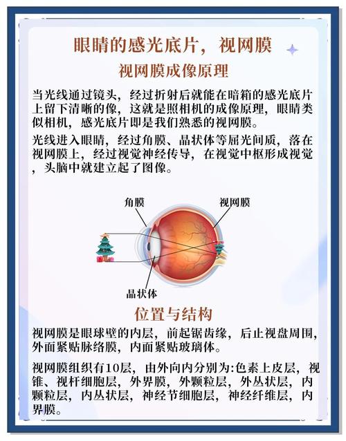 iPhone视网膜技术如何实现清晰显示？-图2