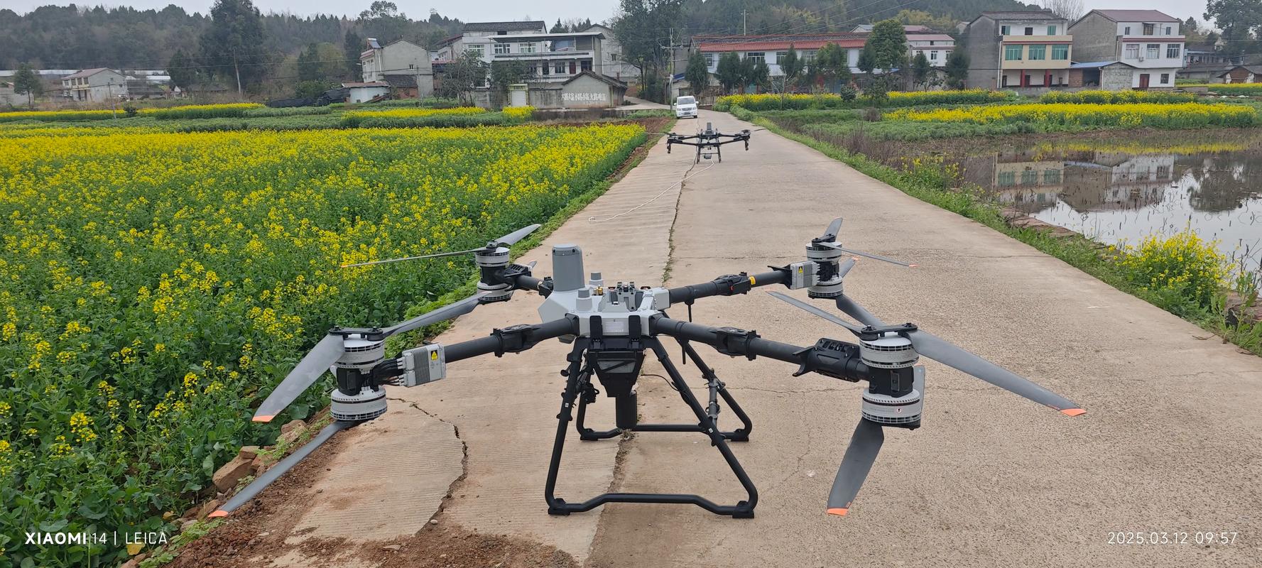 太仆寺旗大疆无人机喷药效果如何？-图1