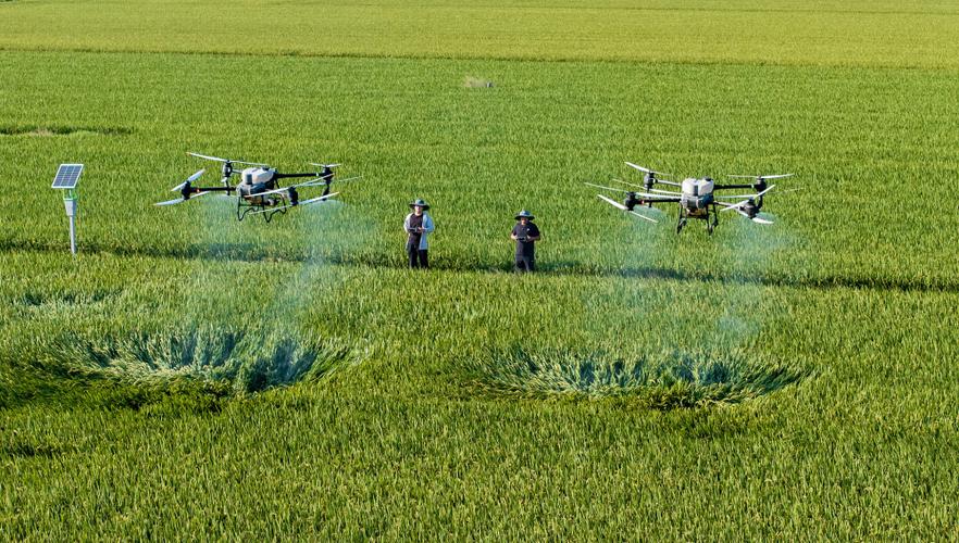 利用无人机低空遥感农业-图2