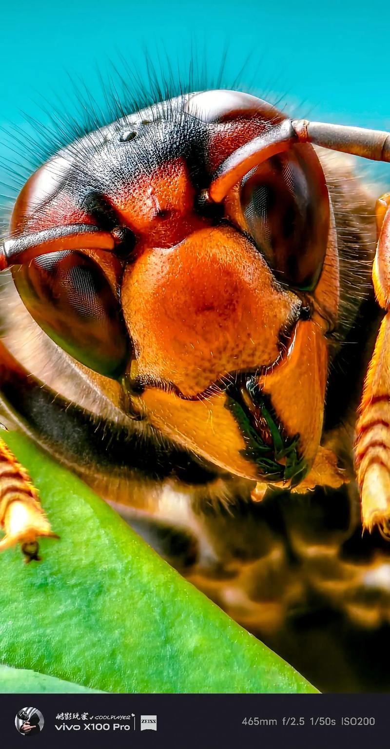 桔子手机角度感应技术有何独特优势？-图1