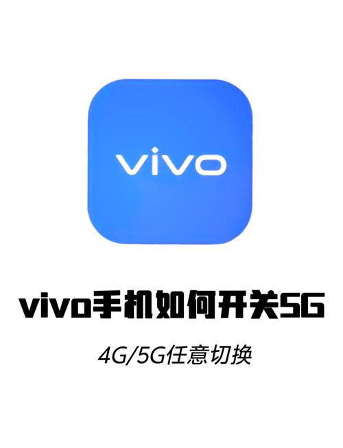vivo手机网络怎么设置？-图2