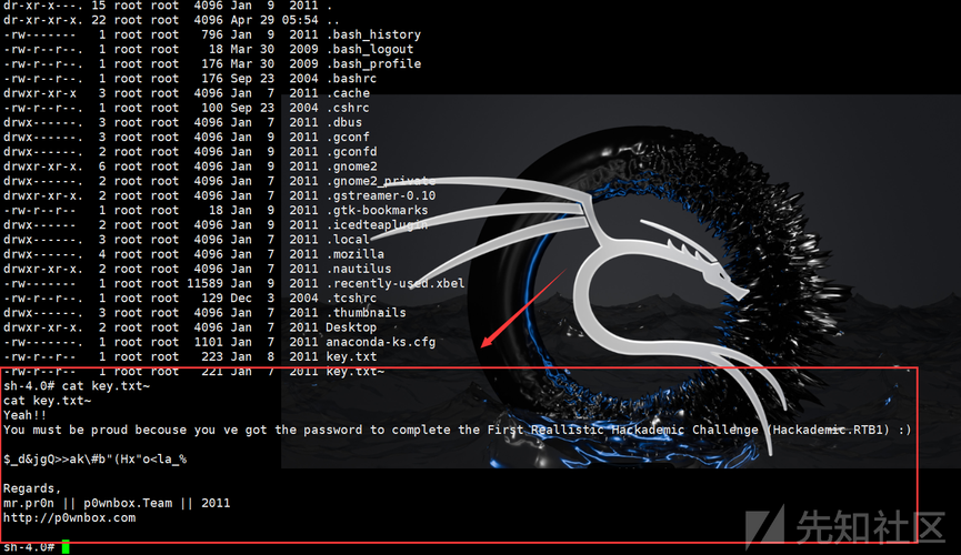 Linux渗透技术有哪些核心工具与技巧？-图1