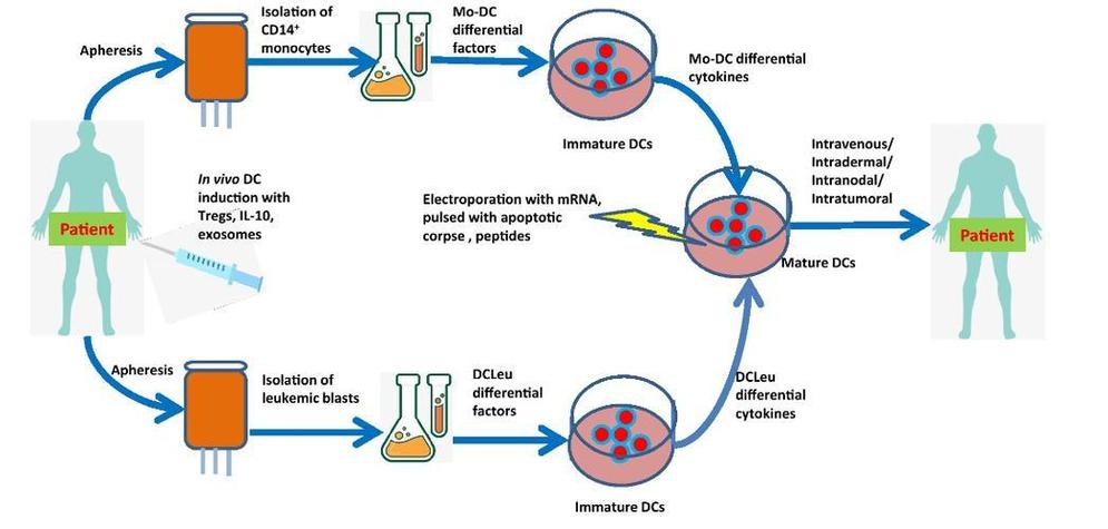 Cart技术最新成果有哪些突破?-图2 Cart技术最新成果有哪些突破?-图2