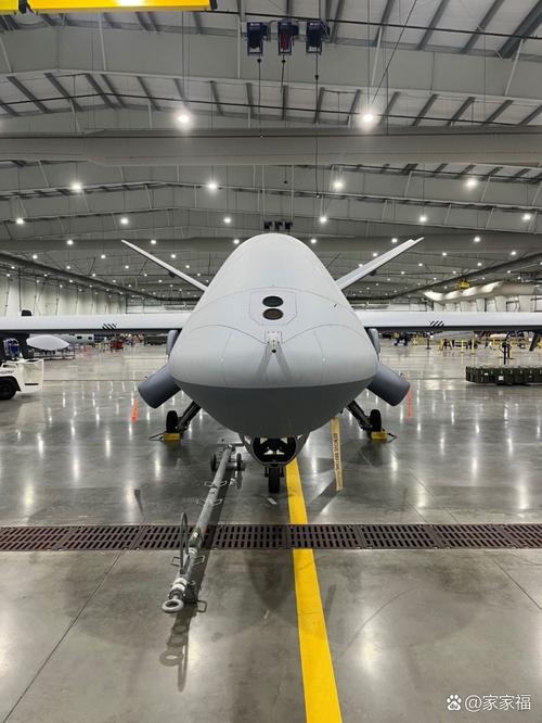 美国无人机商业公司如何引领全球市场？-图1