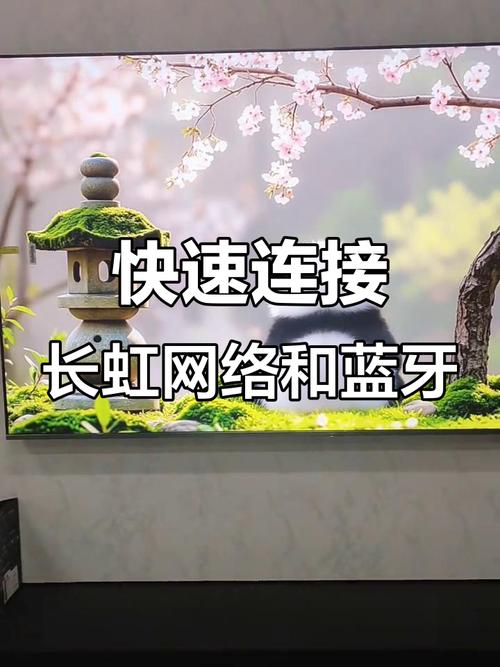 长虹网络电视连接网络步骤是怎样的？-图3