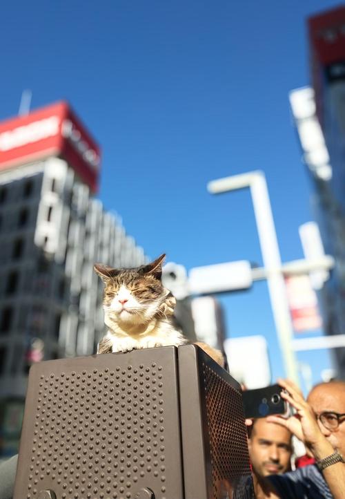 iPhone X拍照技术究竟有何突破?-图2 iPhone X拍照技术究竟有何突破?-图2