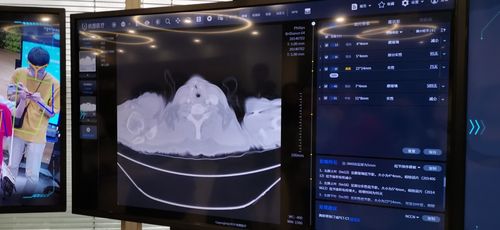 上海依图科技是做什么的？-图2