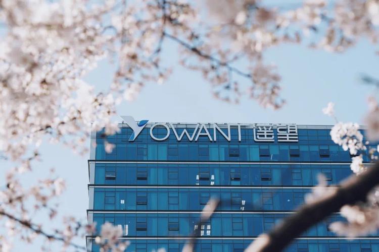 杭州遥望网络科技有限公司做什么的？-图1