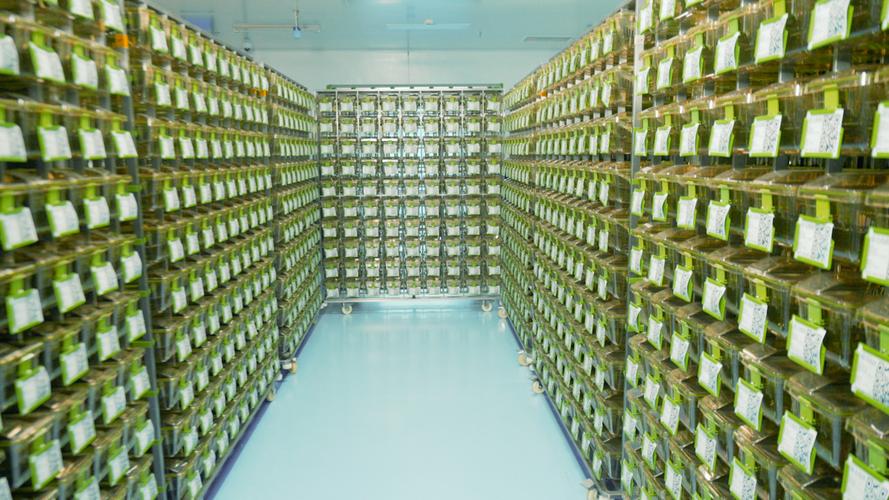 admaster技术如何驱动营销增长？-图2