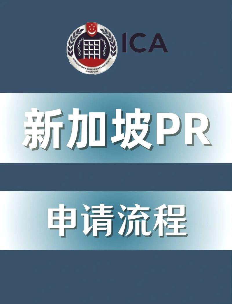 新加坡 无人机申请流程-图2