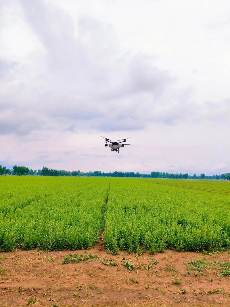 河南植保无人机租赁怎么租？-图1