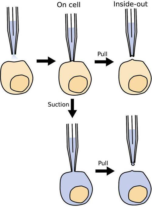 InsideOut技术是什么？核心原理是什么？-图3
