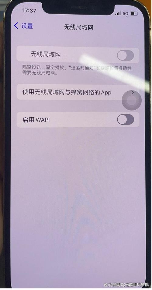 苹果移动网络为何无法打开网页?-图1 苹果移动网络为何无法打开网页?-图1