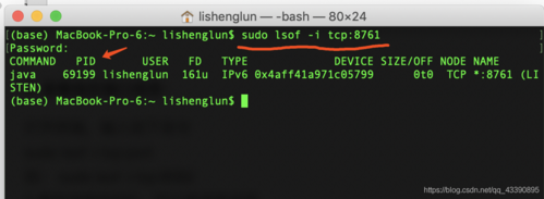 如何查看网络设备的MAC地址？-图3