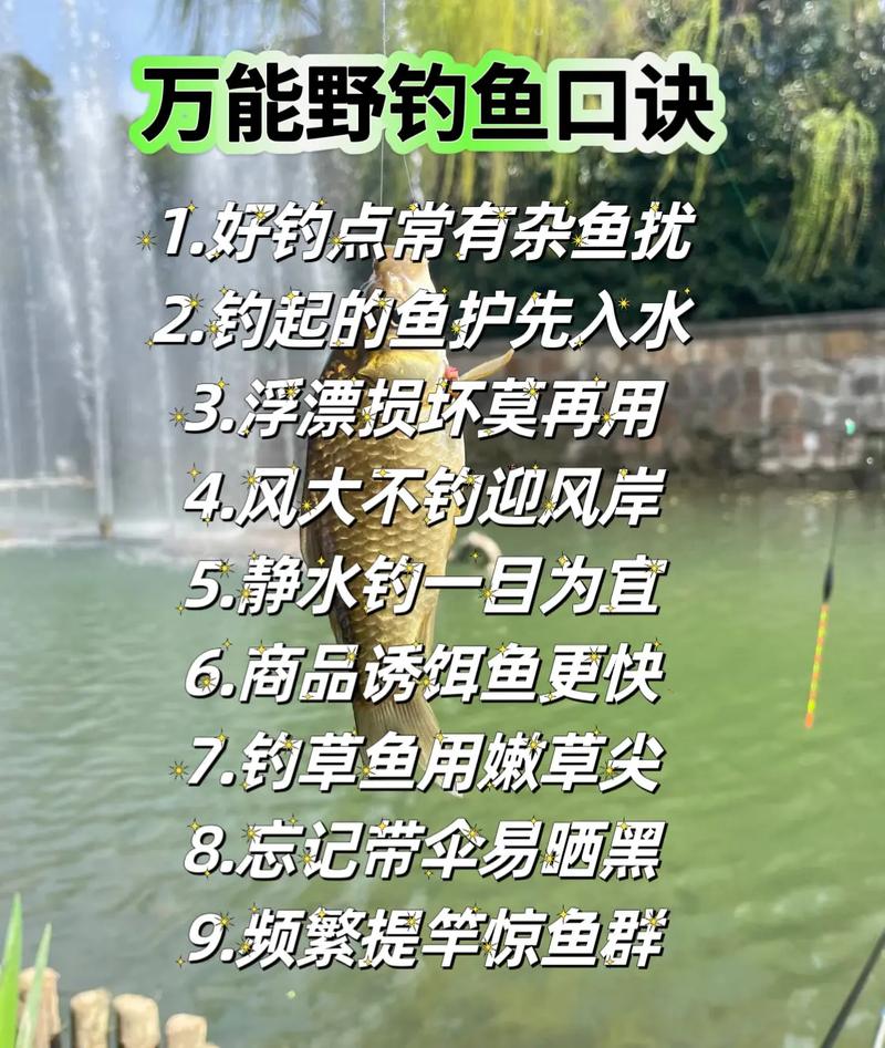 专家版教程有何独门秘诀？-图2