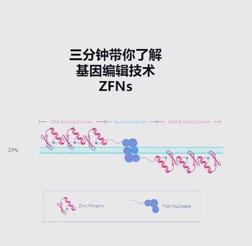 Ngago基因编辑技术有何突破与争议？-图3