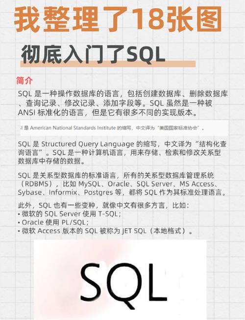 SQL技术手册PDF哪里能找到？-图1