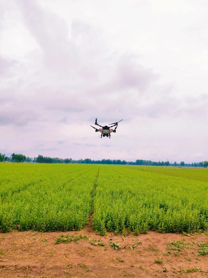 2025年植保无人机如何改变农业?-图2 2025年植保无人机如何改变农业?-图2