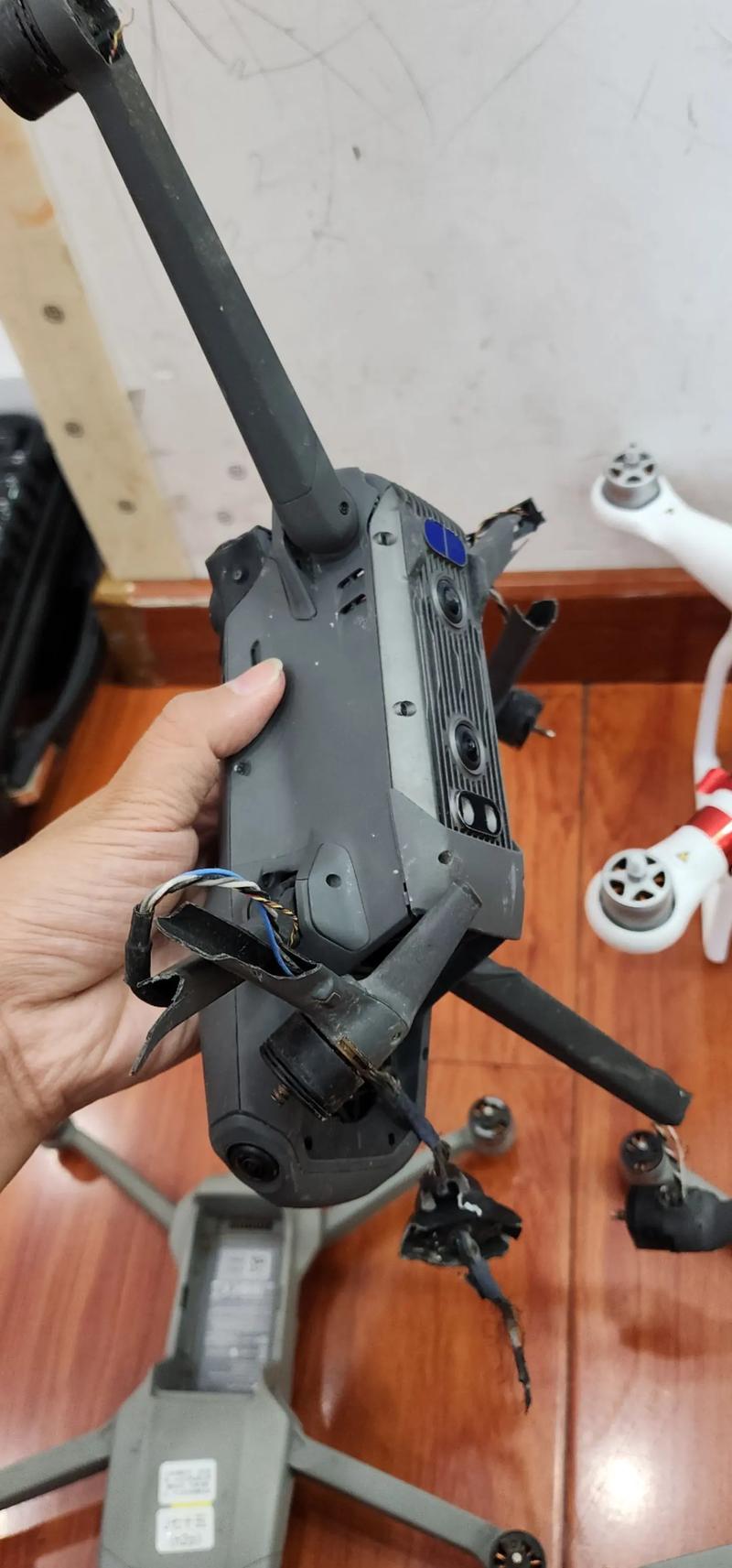 精灵3怎么飞？新手入门教程-图1