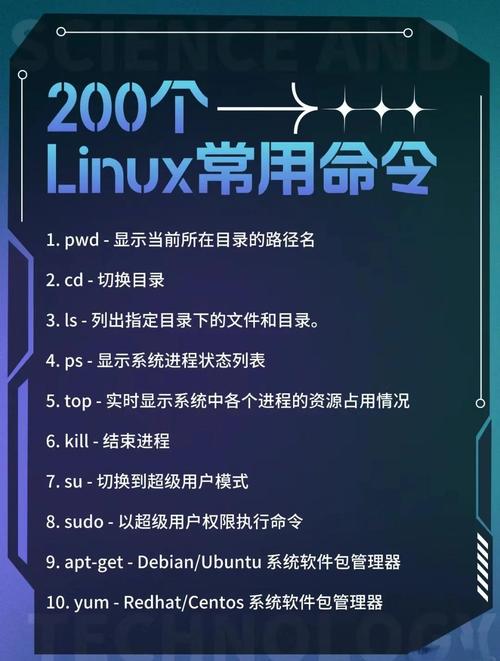 Linux常用网络命令有哪些？-图1