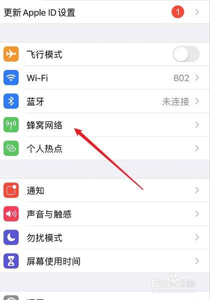 苹果手机如何开启4G网络？-图1