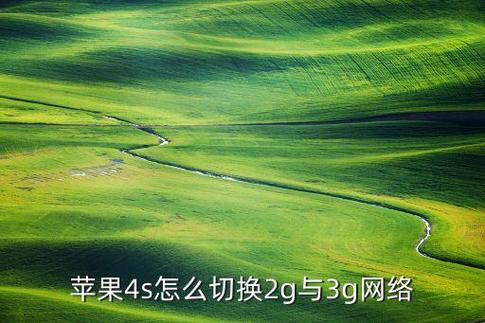 苹果手机怎么切换3G网络？-图2