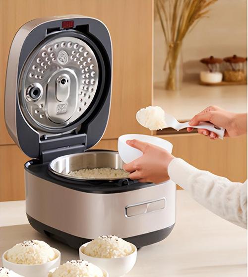 现在什么电饭煲技术好-图3