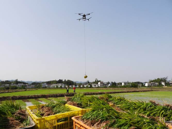 水稻喷药无人机价格是多少？-图3