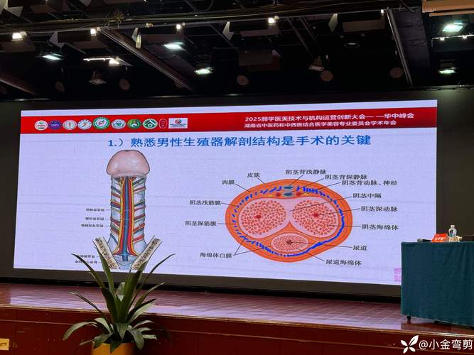 同性繁殖技术突破伦理底线了吗？-图1