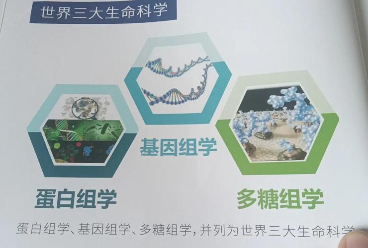 基因技术真能实现长生不老吗？-图1