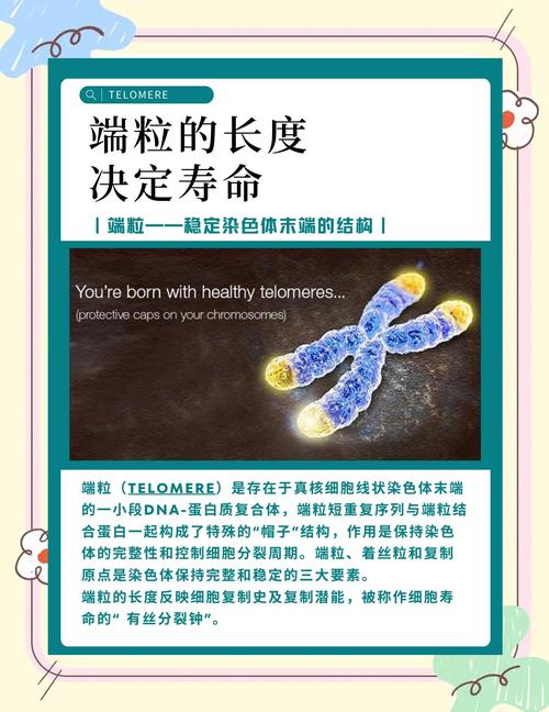 基因技术真能实现长生不老吗？-图2