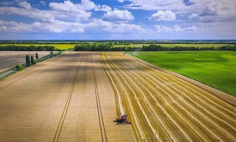 乌克兰生物农业技术有何突破？-图1