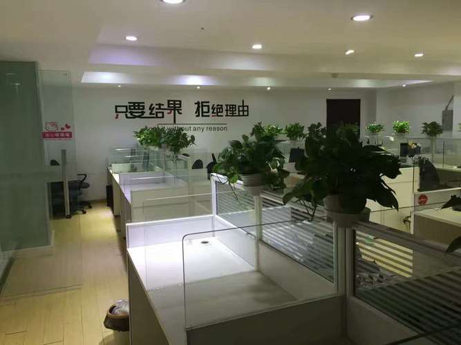 上海网络信息有限公司主营什么业务?-图2 上海网络信息有限公司主营什么业务?-图2