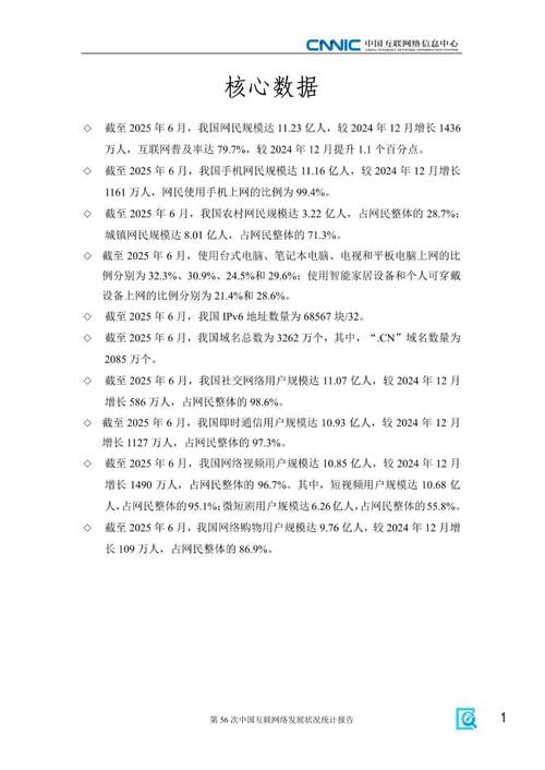 中国网络发展现状如何？-图1