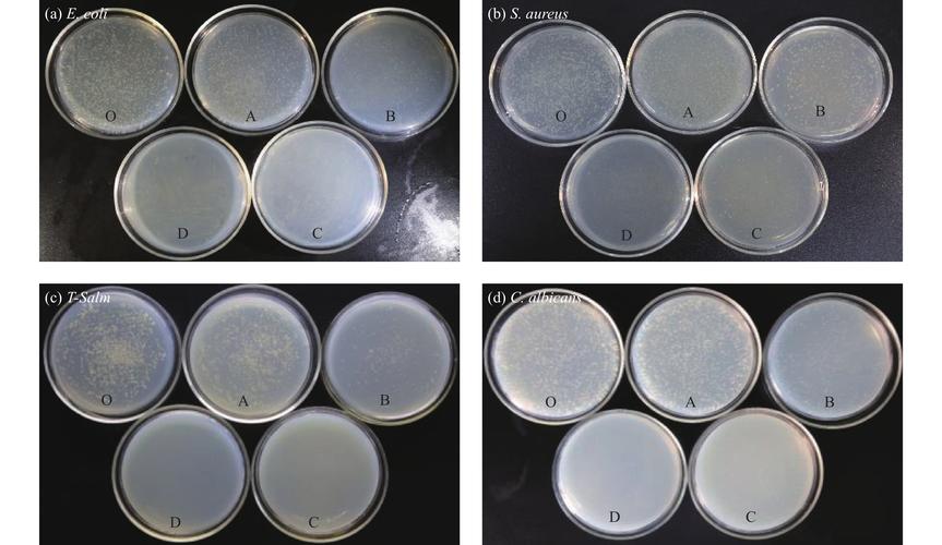 量子点与ULED，哪种显示技术更优？-图2