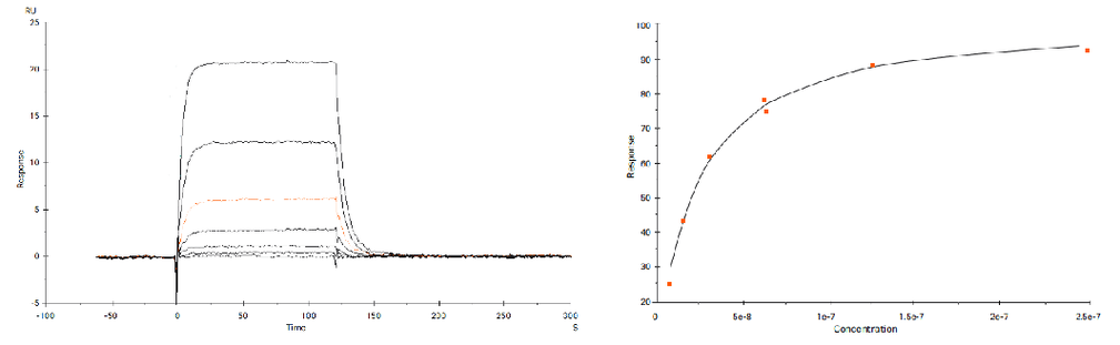 spr子像素渲染技术如何提升显示精度？-图1