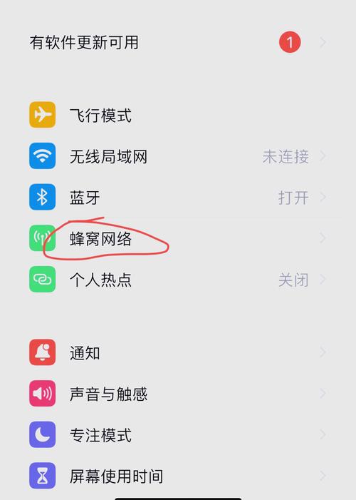 苹果手机怎么开网络数据？-图1