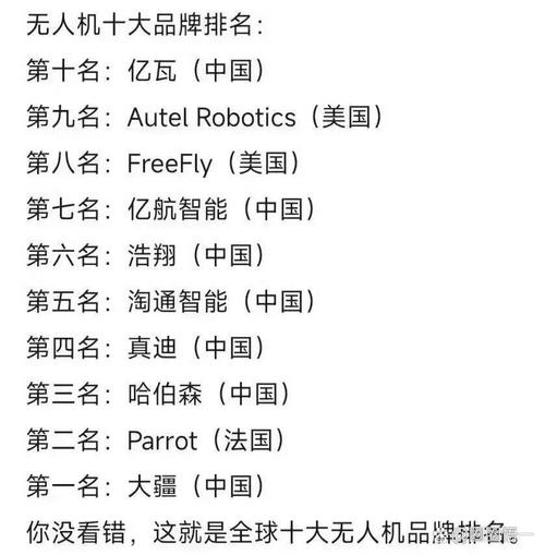 全球无人机企业哪家强？-图1